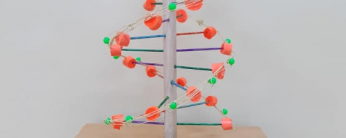 Kwas DNA – jego budowa w wyobraźni ósmoklasistów